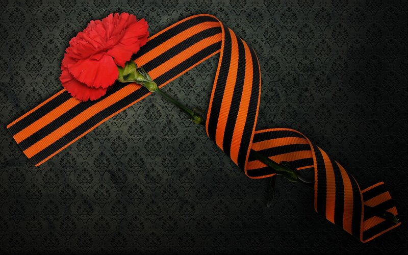 Red carnation with St. George's ribbon