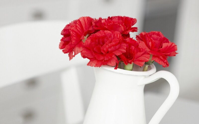 Red carnations in a white pitcher