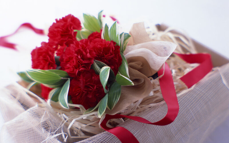Red Carnations in Basket