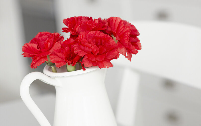 Red Carnations in Pitcher