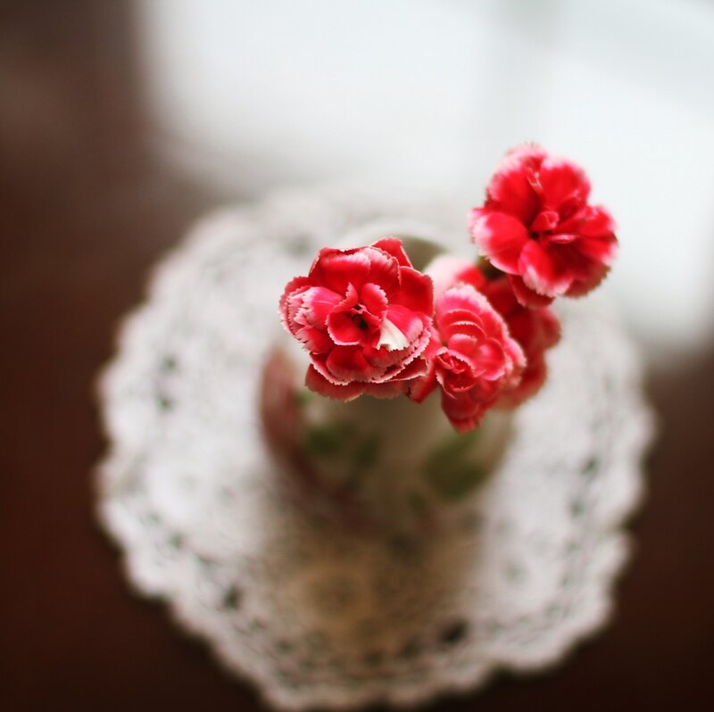 Red Carnations in Vase — Calm, Photograph
