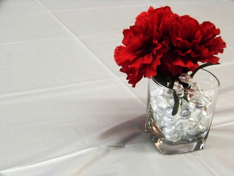 Red Carnations in Vase — Calm
