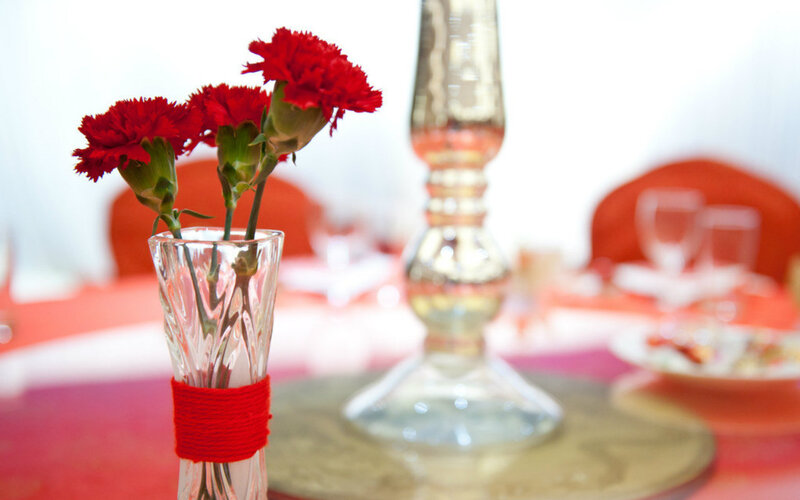 Red Carnations in Vase — Elegant