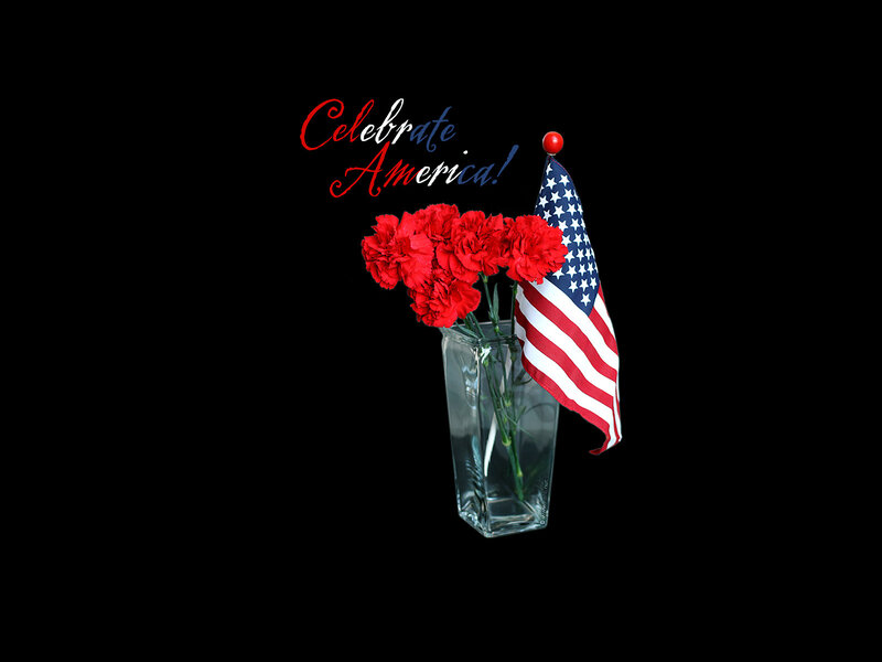 Red Carnations in Vase