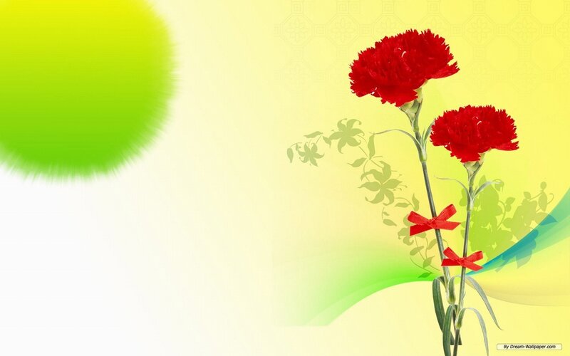 Red Carnations with Ribbons