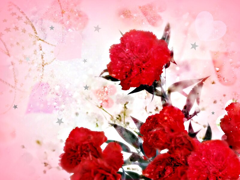 Red Carnations with Stars