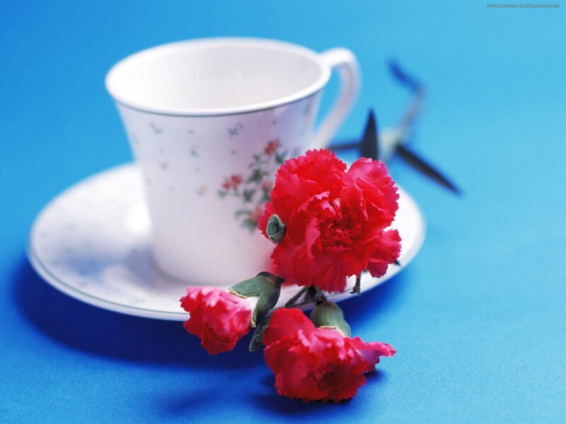 Red Carnations with Teacup