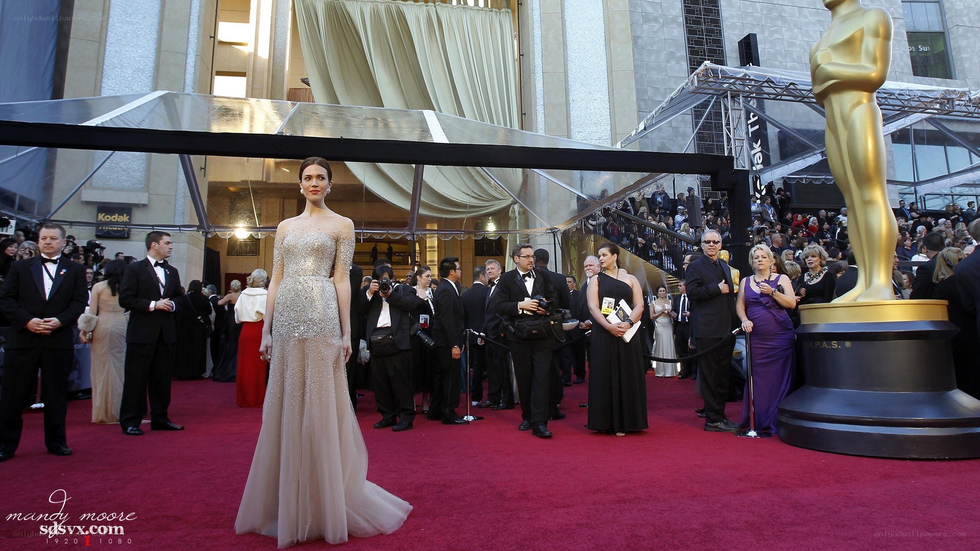 Red carpet at the Oscars