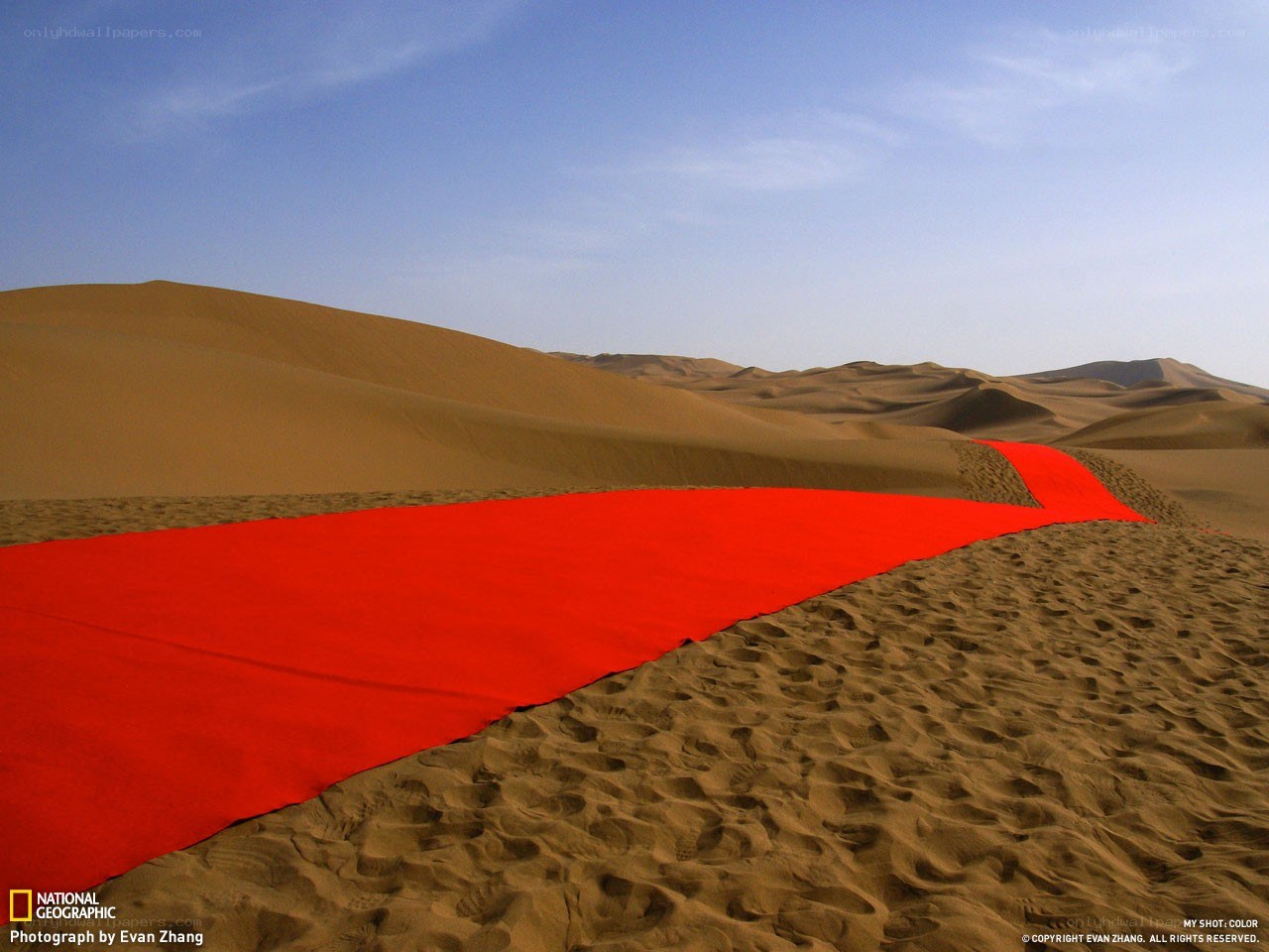 Red carpet in the desert