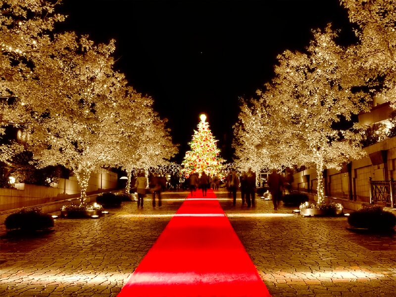 Red Carpet Leading to Tree