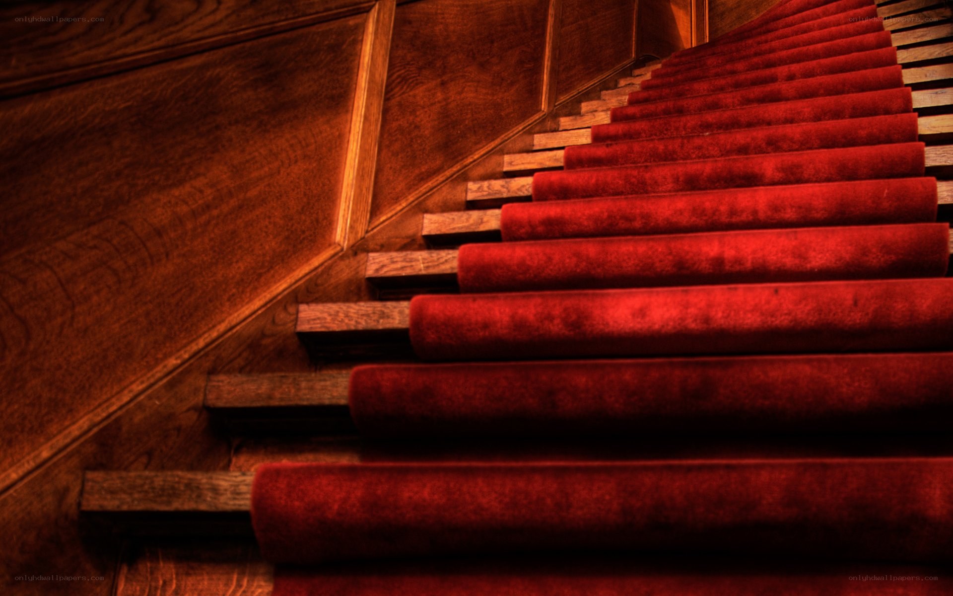 red carpeted wooden staircase