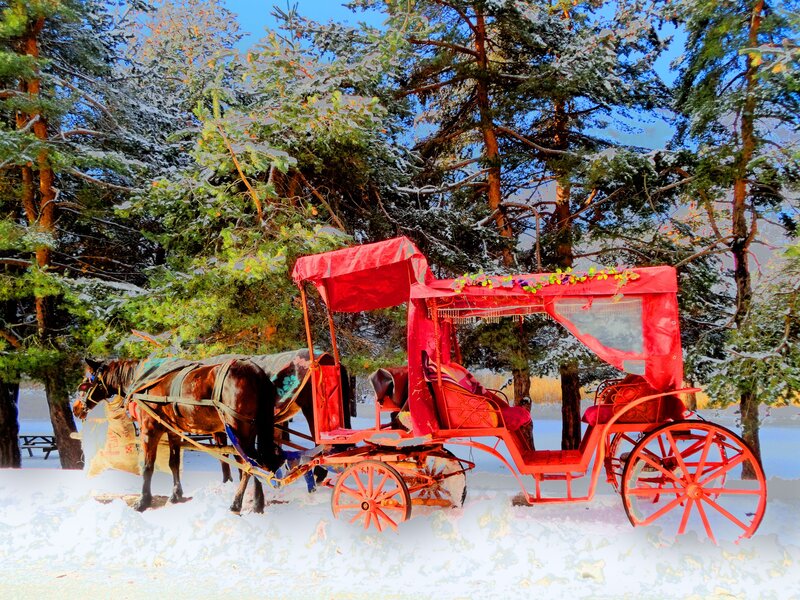 Red Carriage in Snow — Serene