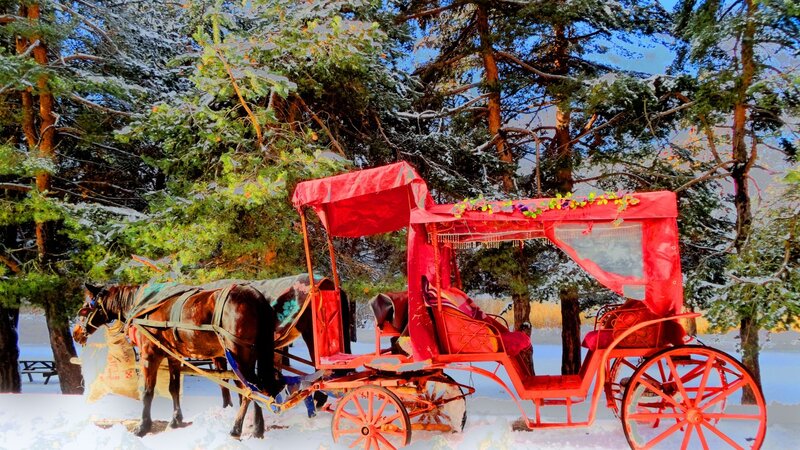 Red Carriage in Snow