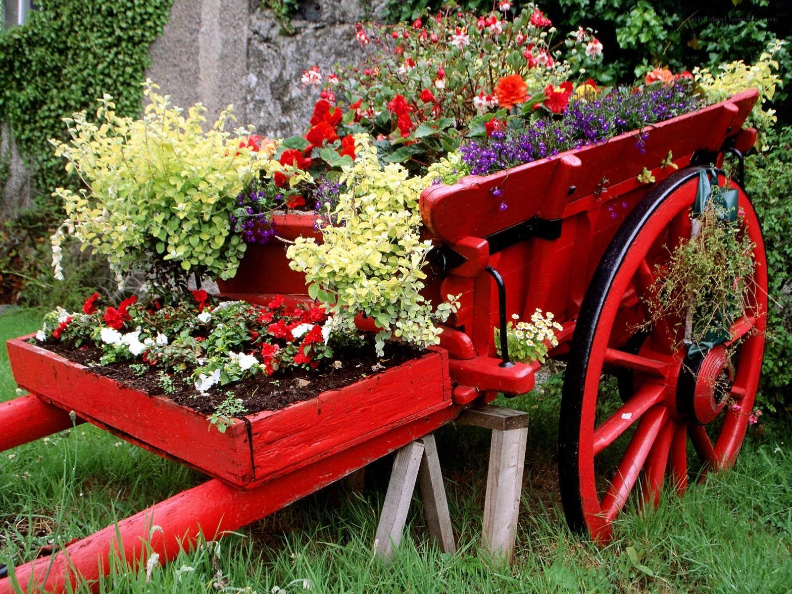 Red cart with flowers