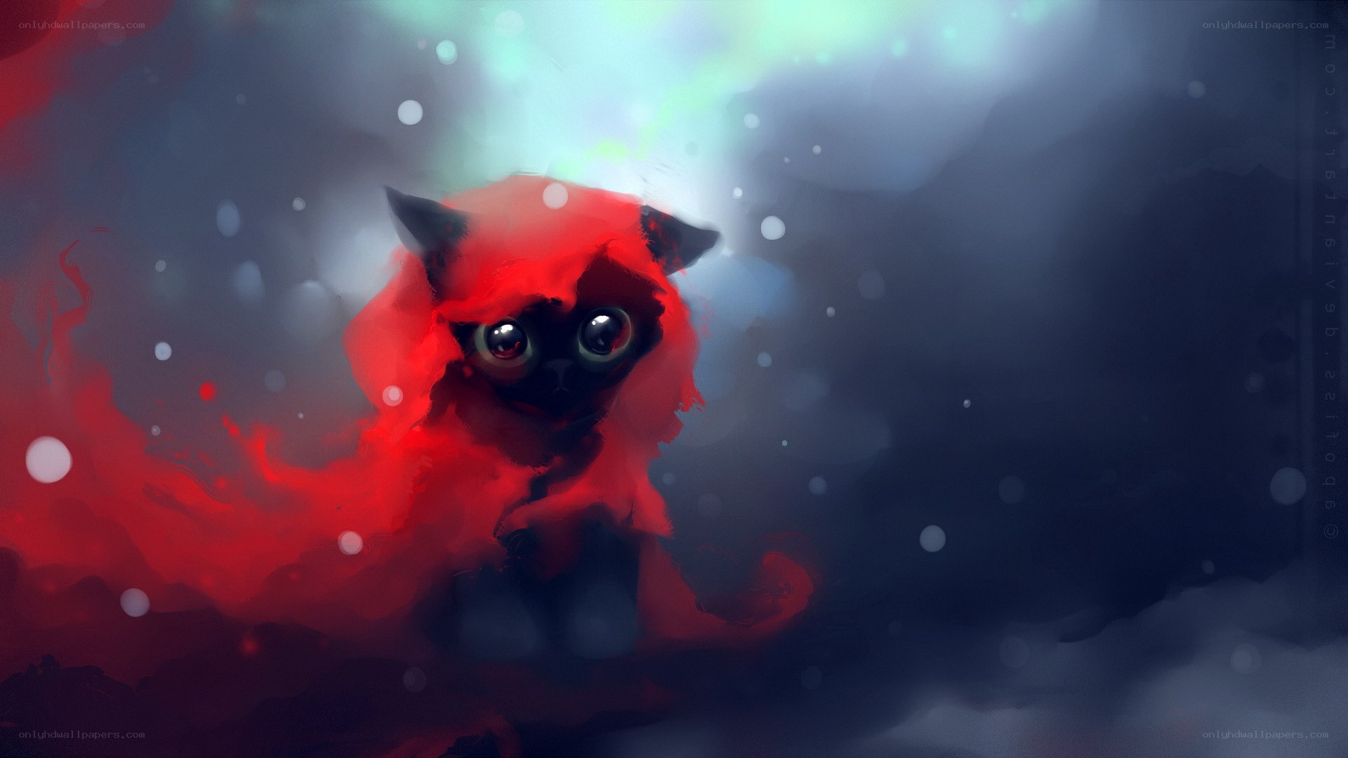 red cat in mist