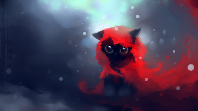 red cat in misty light