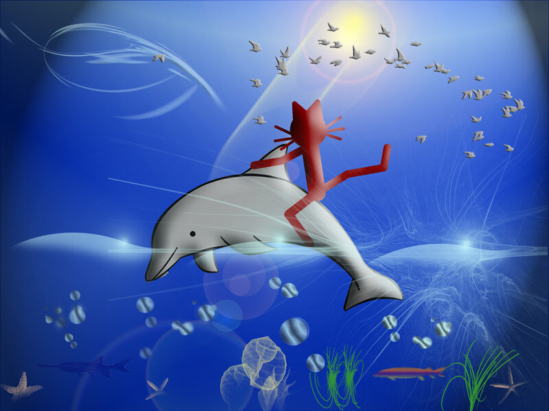 Red Cat on Dolphin