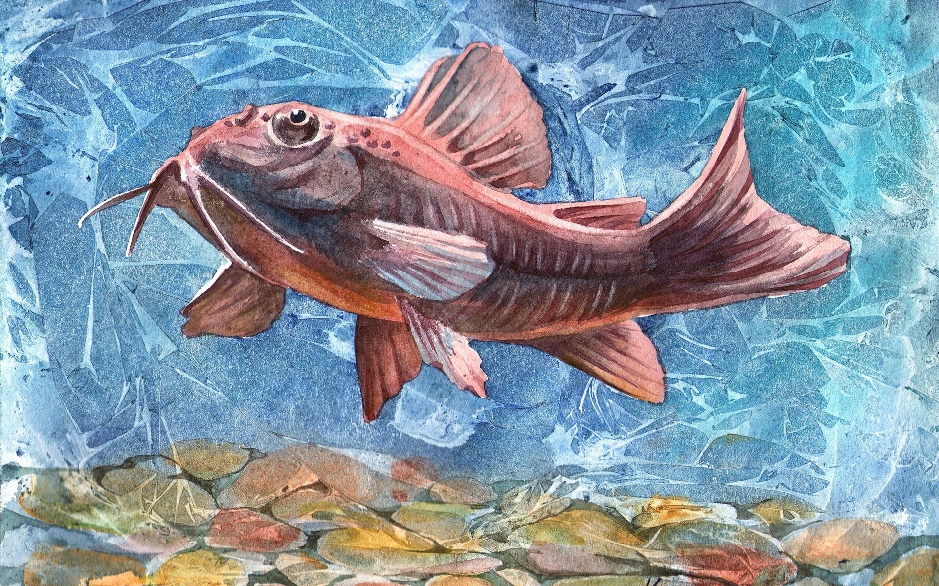 Red catfish in blue water