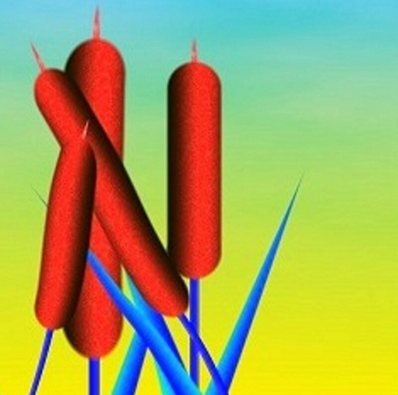Red Cattails on Blue Stems