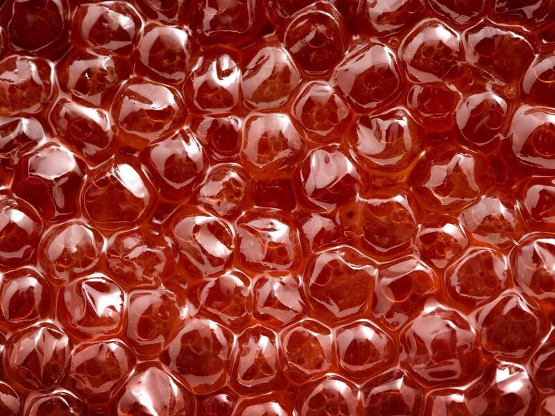 Red Caviar Close-up — Textured, Photograph
