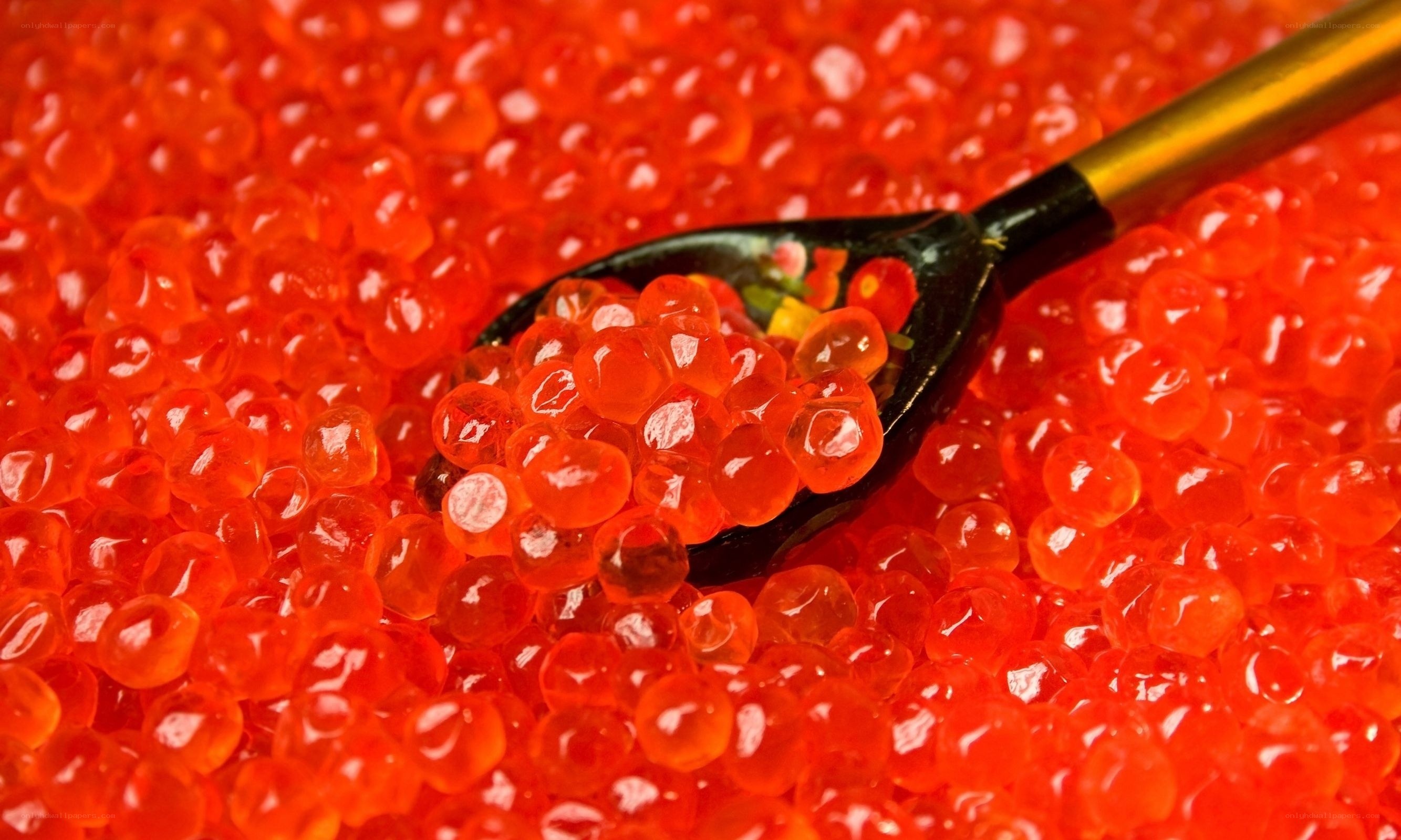 red caviar on a spoon
