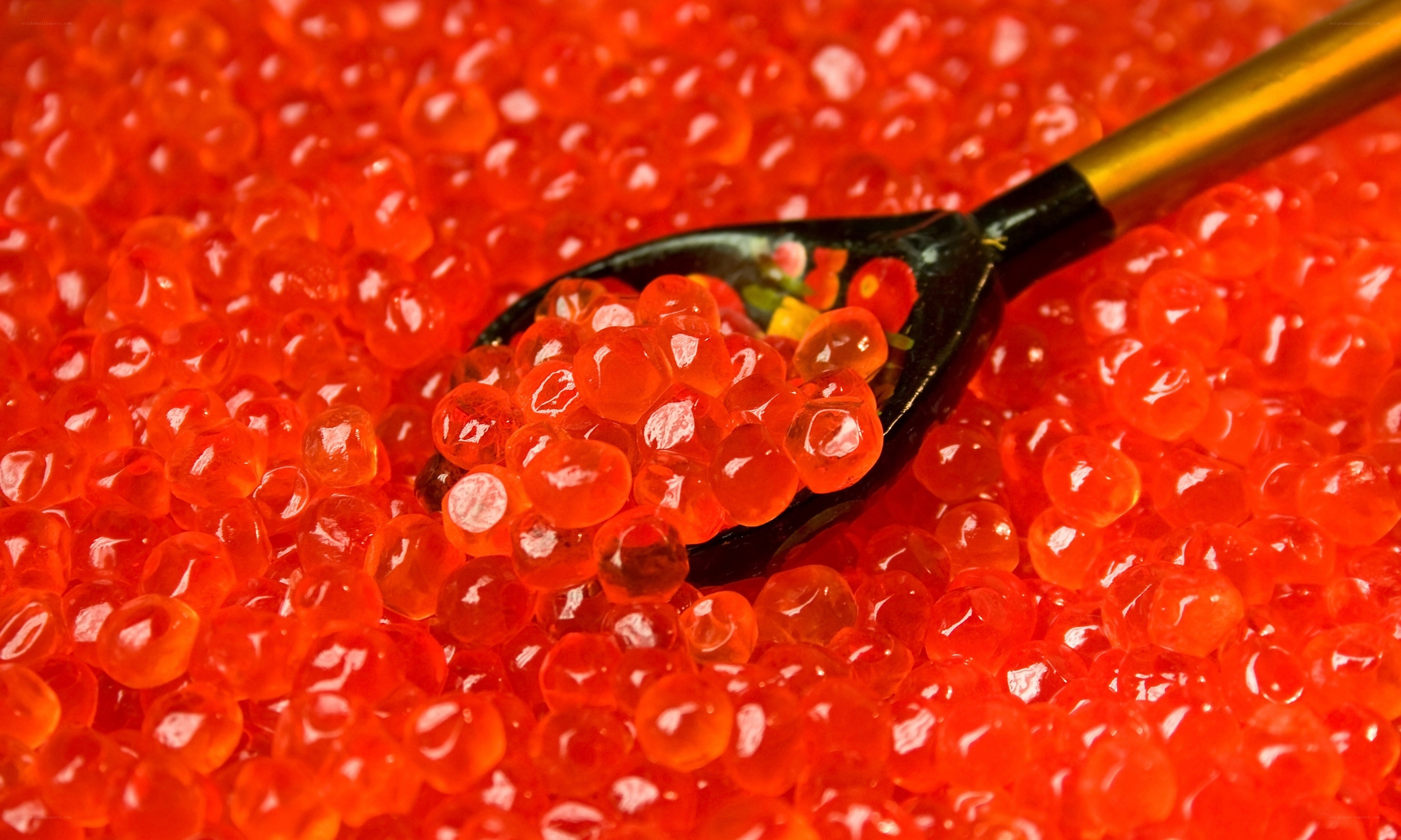 red caviar on a spoon