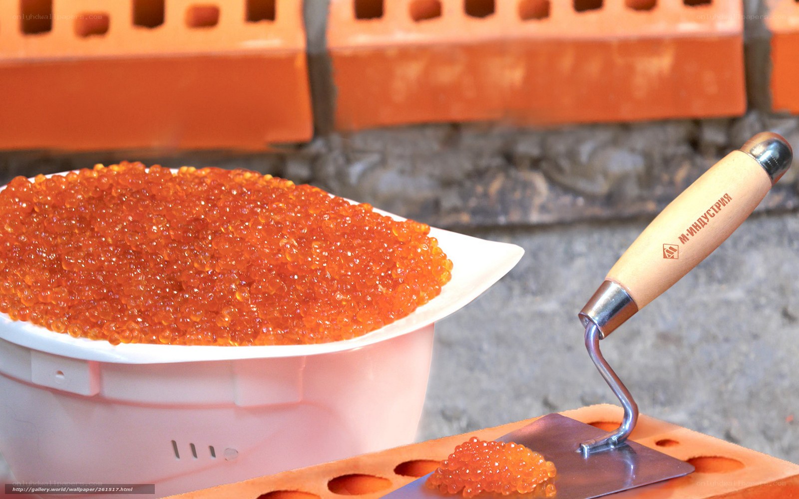 Red caviar with trowel