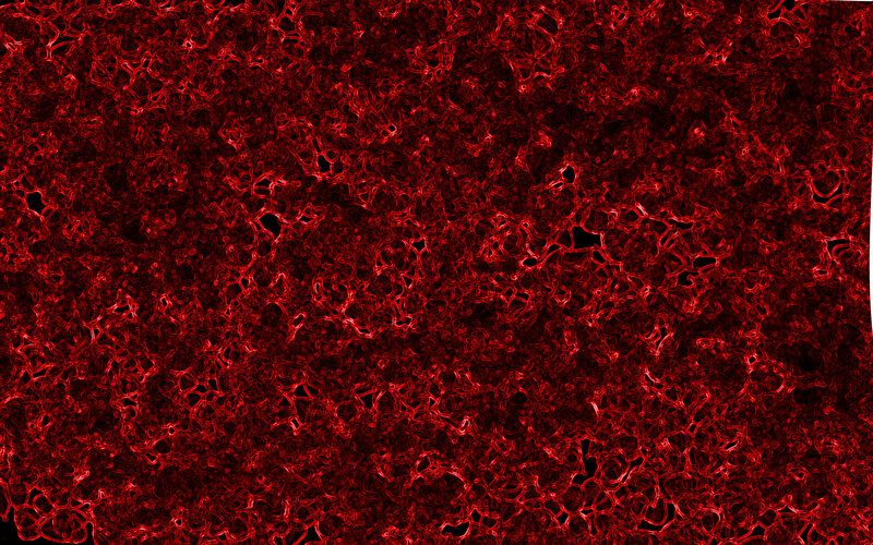 red cellular network pattern