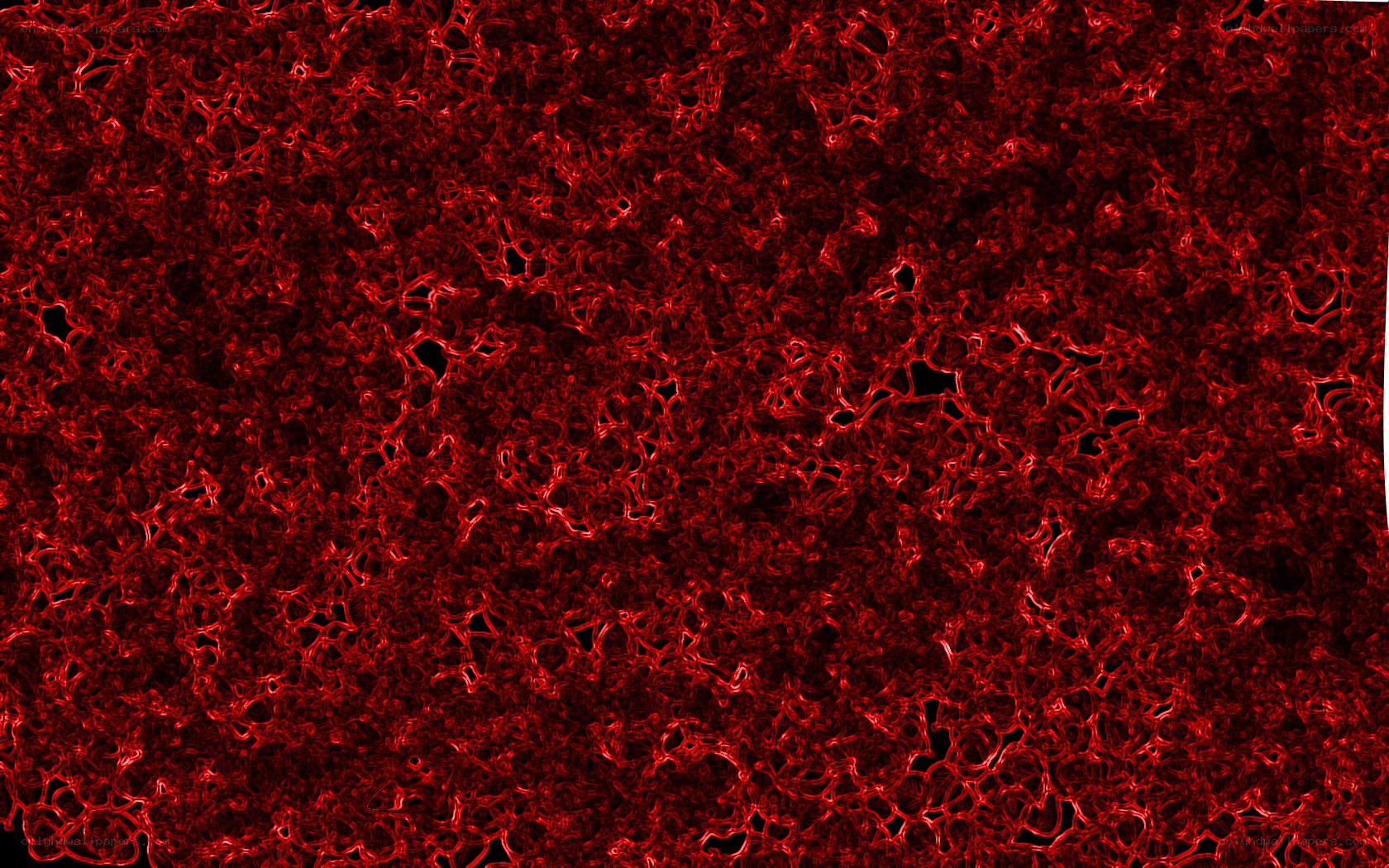 red cellular network pattern