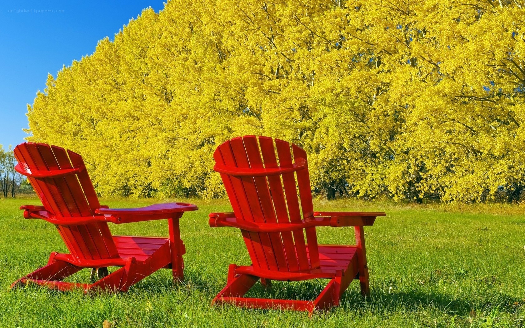 Red chairs in autumn field