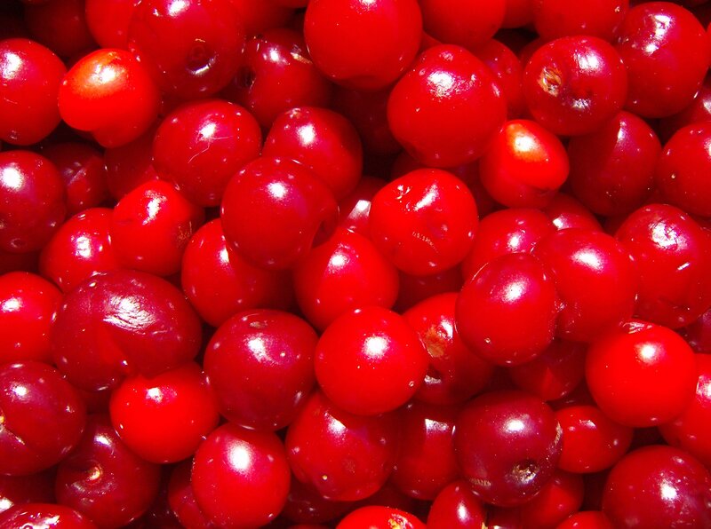 Red Cherries Close-up