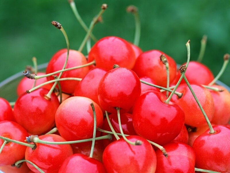 Red Cherries in a Bowl — Fresh, Photograph, Stems
