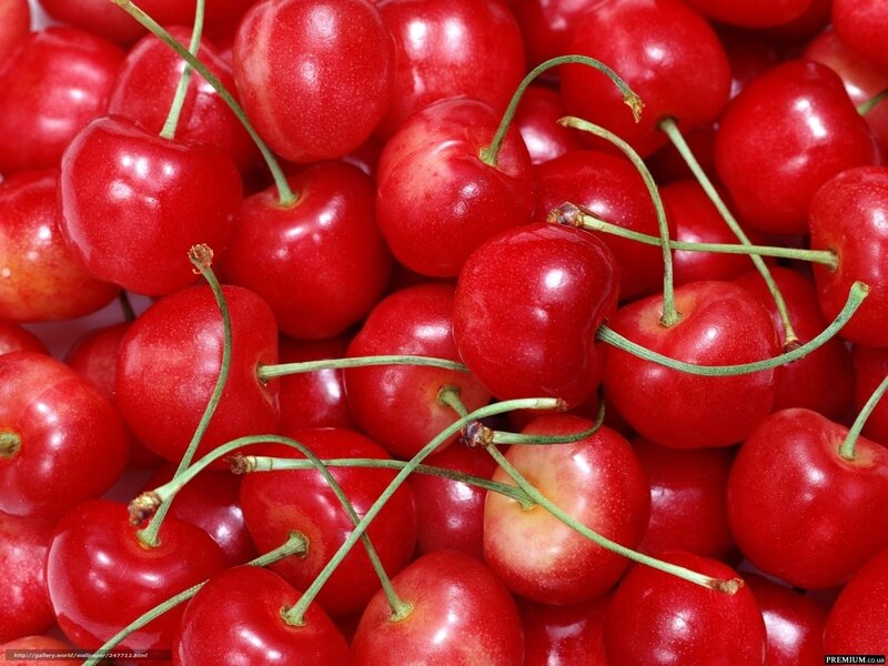 Red Cherries in a Pile — Fresh, Photograph, Stems