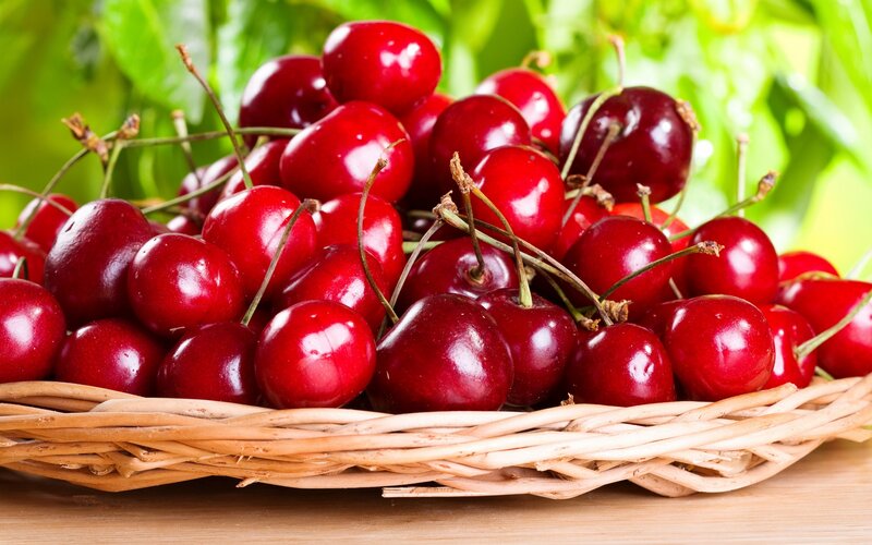 Red Cherries in Basket — Fresh