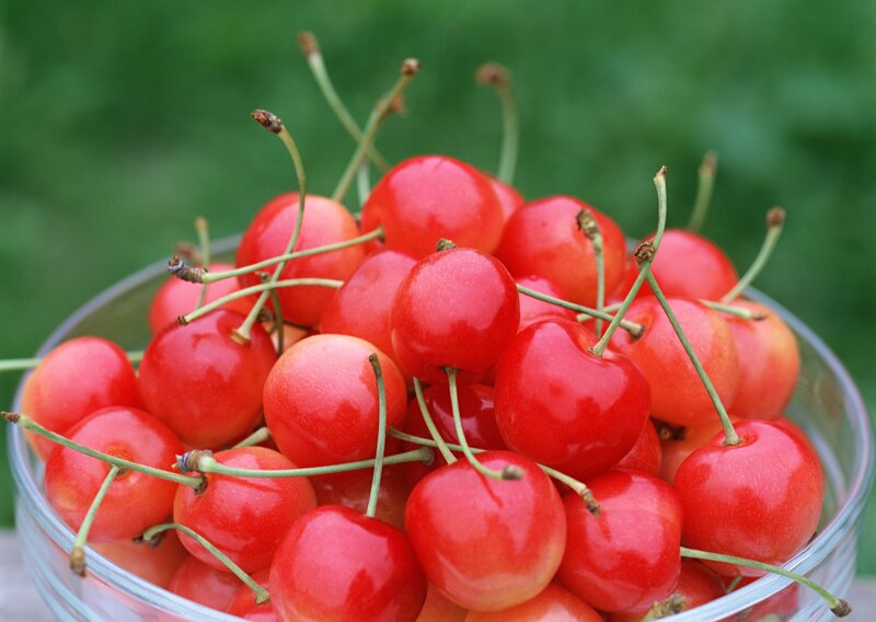 Red Cherries in Bowl — Fresh