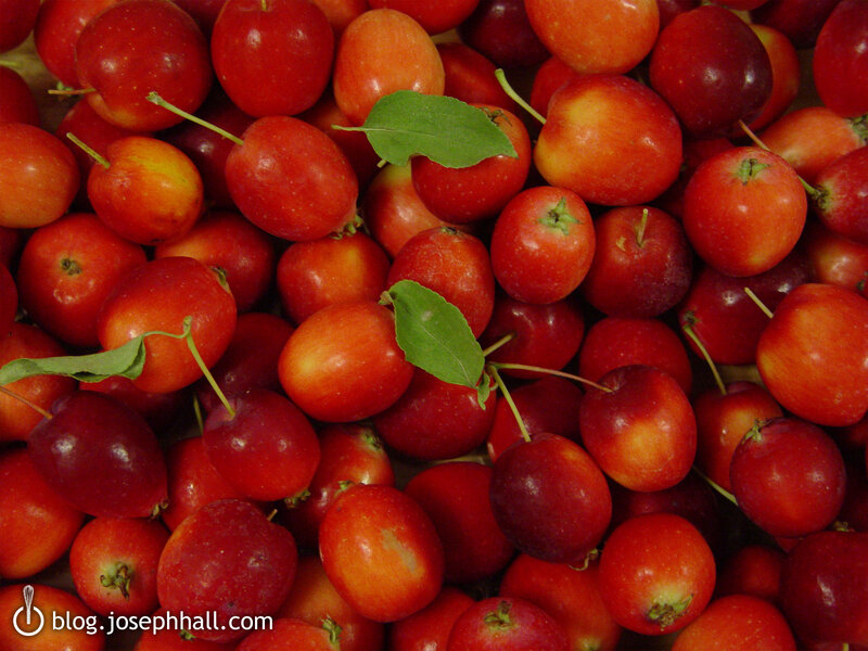 Red cherries with green leaves