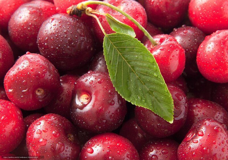 Red Cherries with Leaf — Fresh, Photograph, Stem