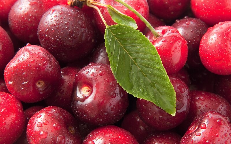 Red Cherries with Leaf — Fresh, Photograph, Water Droplets