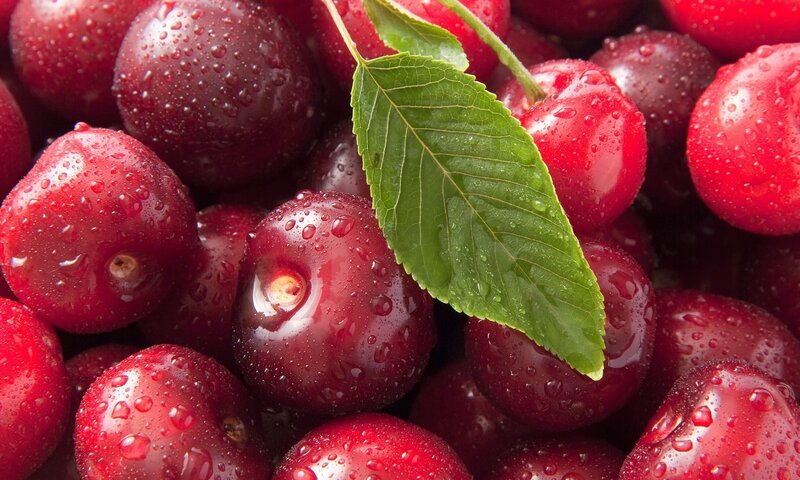 Red Cherries with Leaf — Fresh