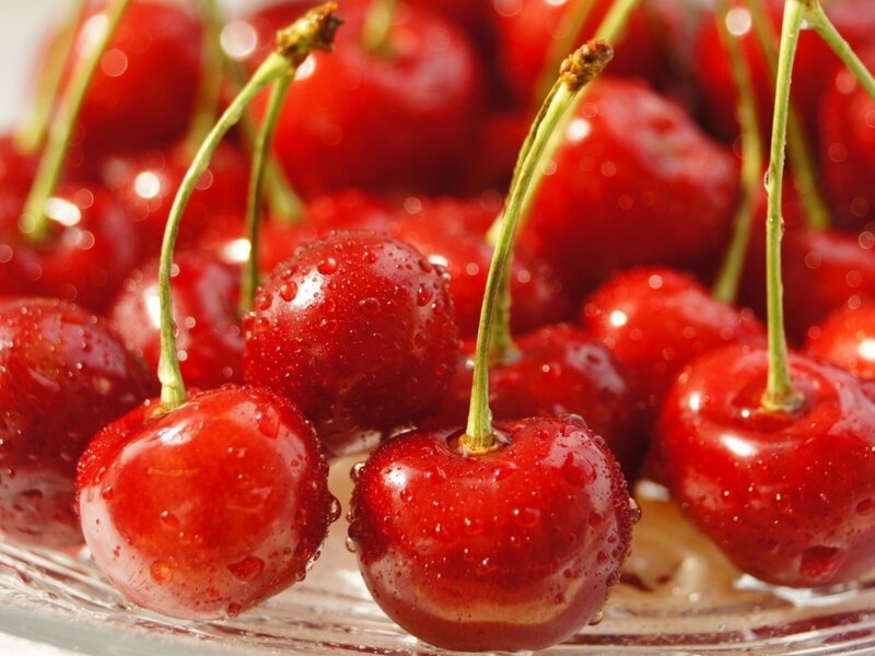 Red Cherries with Stems — Fresh