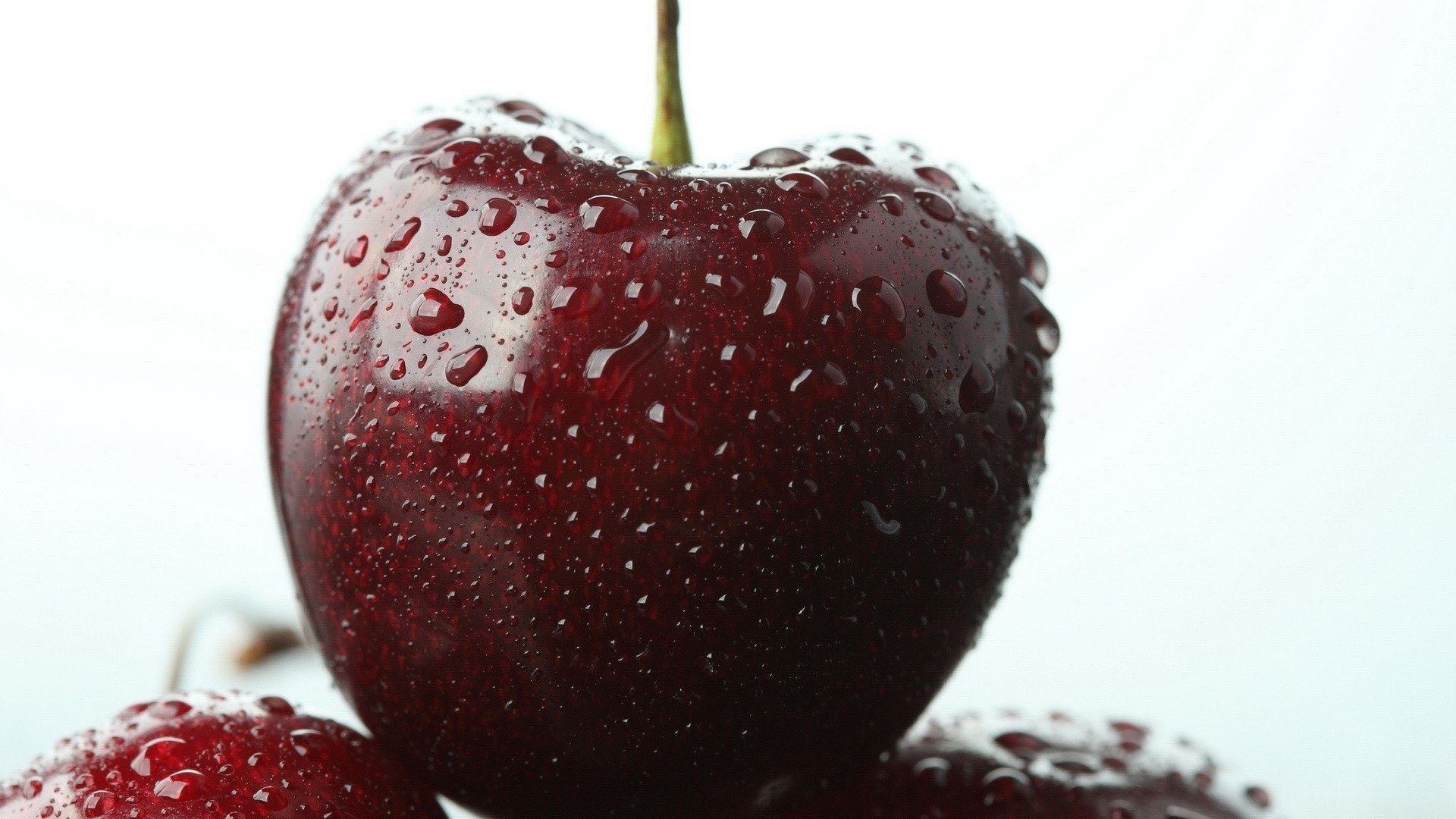 Red cherries with water droplets