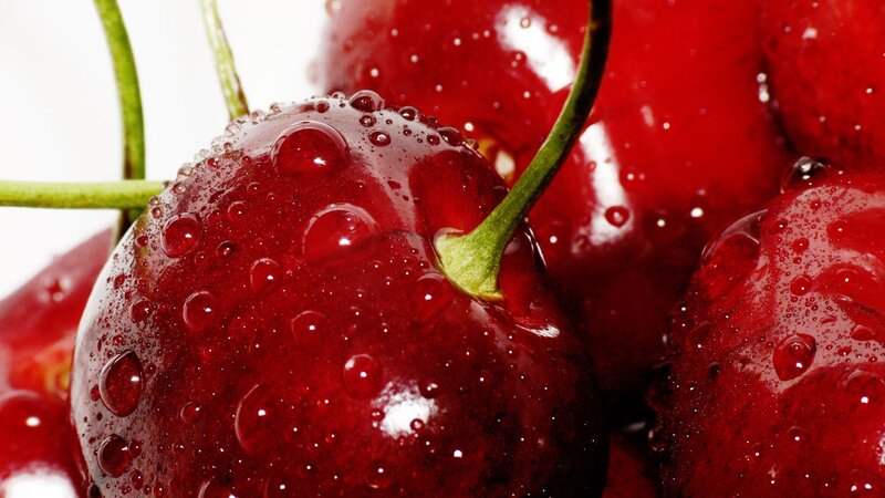 Red Cherries with Water Droplets — Fresh, Photograph, Water Droplets, Stems, White Background