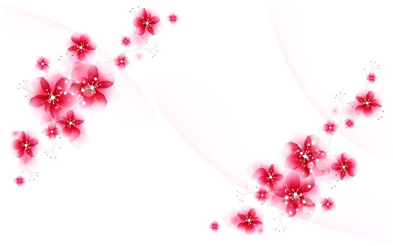 Red Cherry Blossoms — White