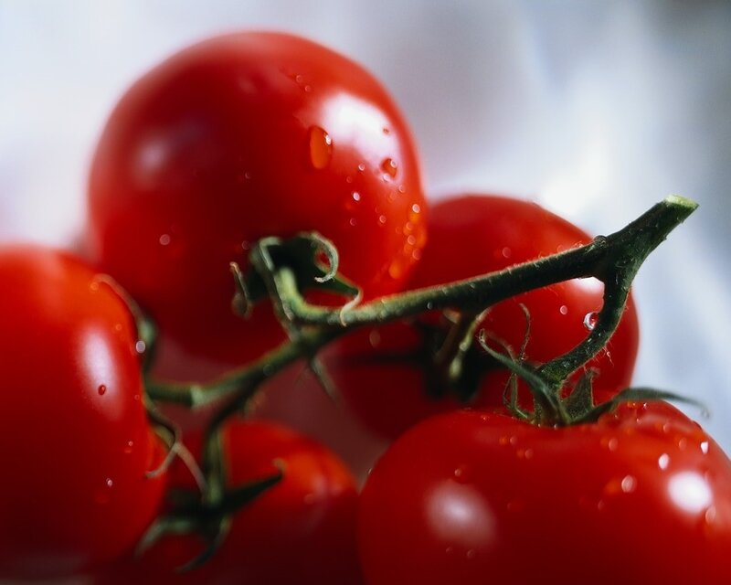 Red Cherry Tomatoes — Fresh, Photograph, Stem