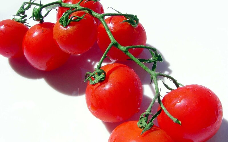Red Cherry Tomatoes on Vine