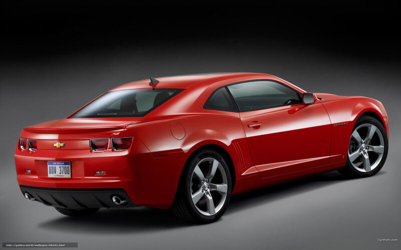 Red Chevrolet Camaro — Dramatic, Photograph, Car, License Plate