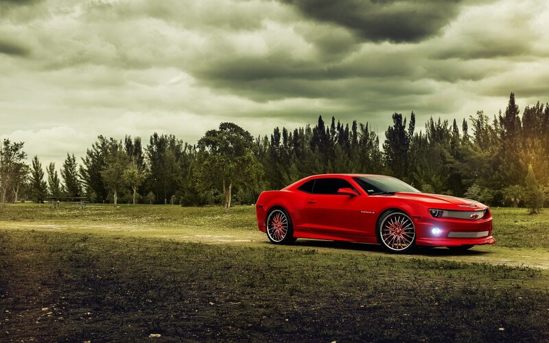 Red Chevrolet Camaro — Dramatic, Photograph, Car, Trees