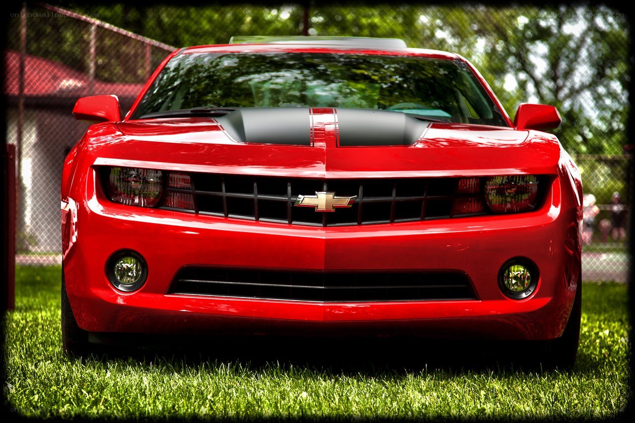 Red Chevrolet Camaro on grass