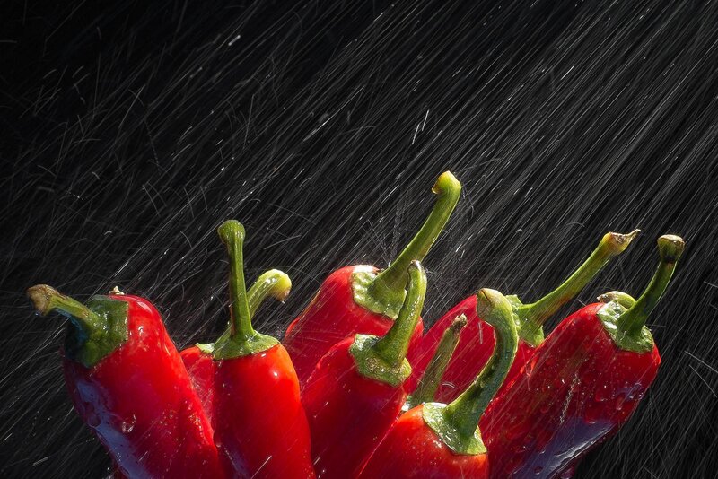 Red Chili Peppers — Dramatic, Photograph, Green Stems, Water Droplets
