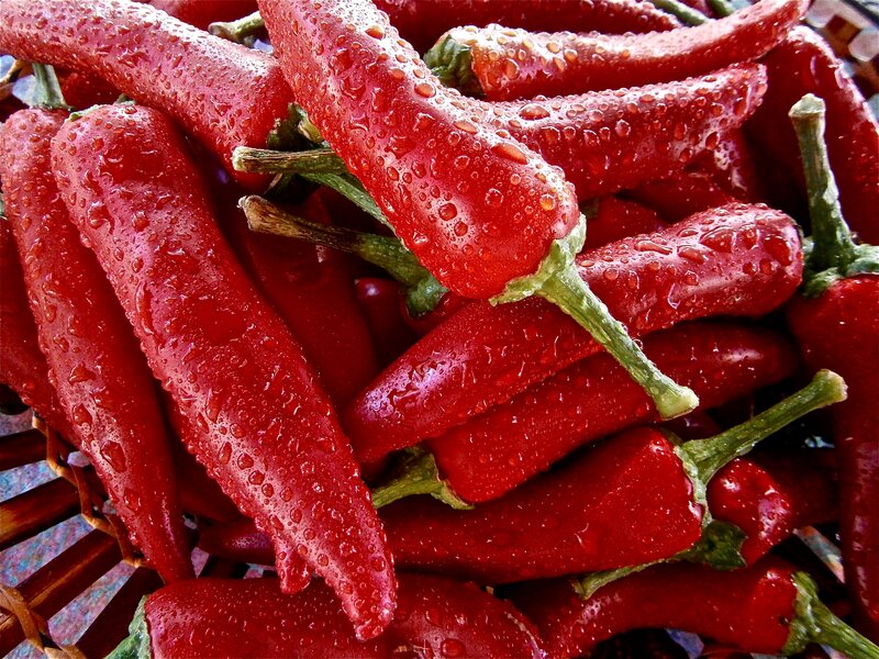 Red Chili Peppers — Fresh